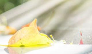 qq家族排行榜 qq家族排行榜