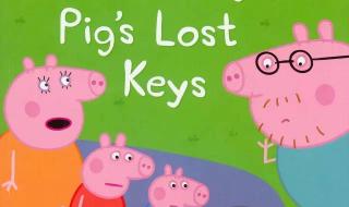 小小猪的大大爱